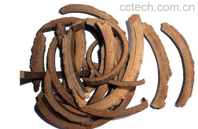 果蔬百科秦皮图片 秦皮的功效与作用-0