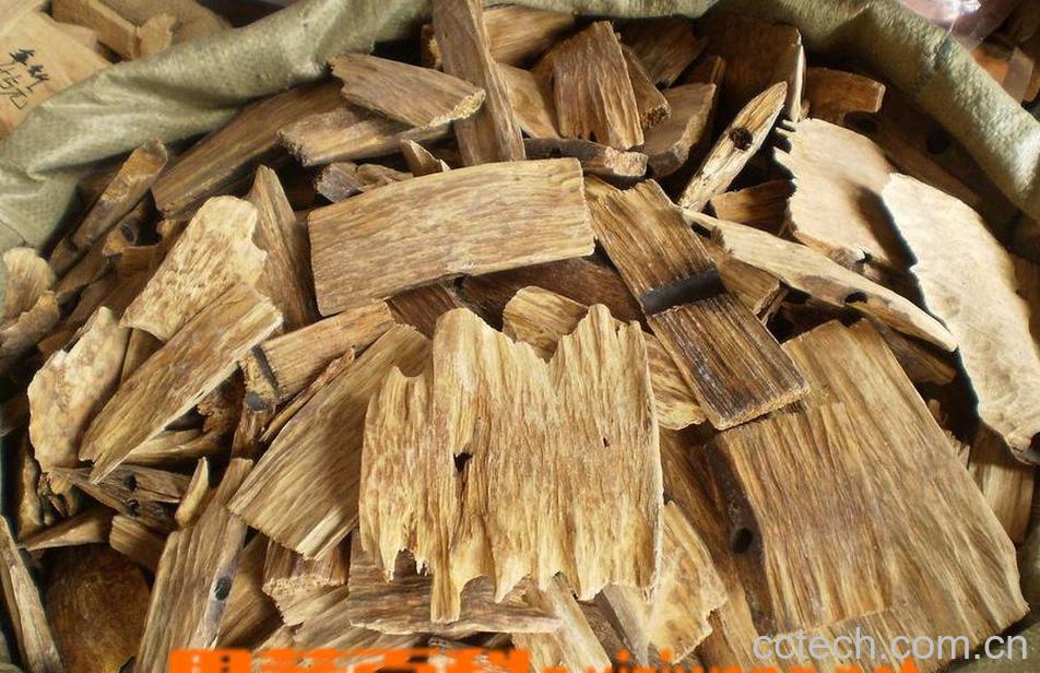 果蔬百科沉香的功效与作用-0