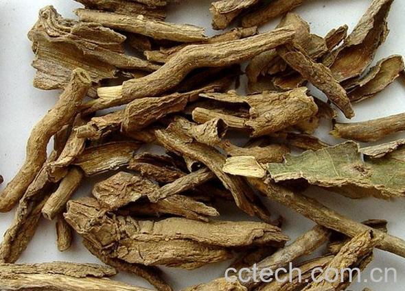 果蔬百科地骨皮图片 地骨皮的功效与作用-0