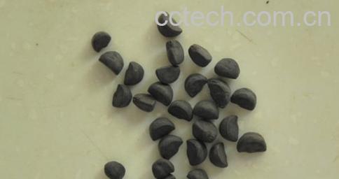 果蔬百科牵牛子图片 牵牛子的功效与作用-0