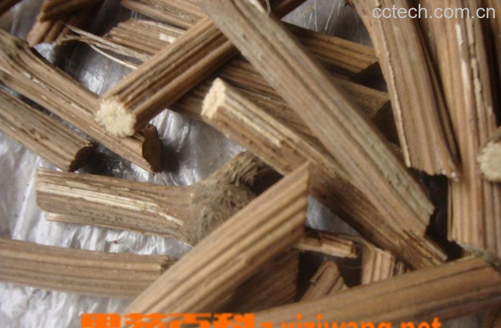 果蔬百科木通图片 木通的功效与作用-0