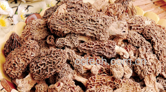 果蔬百科羊肚菜的功效与作用-0