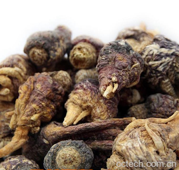 果蔬百科玛卡图片 玛卡的功效与作用-0