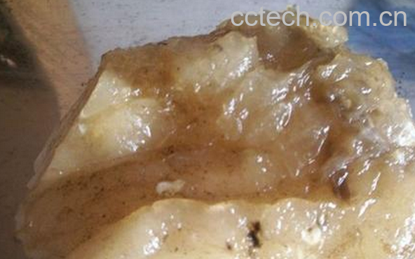 果蔬百科太岁的功效与作用-0