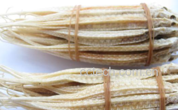 果蔬百科海龙是什么-0