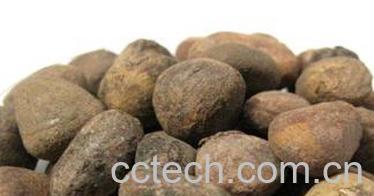 果蔬百科大枫子图片 大枫子的功效与作用-0