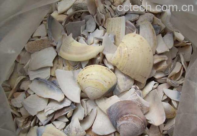 果蔬百科瓦楞子图片 瓦楞子的功效与作用-0