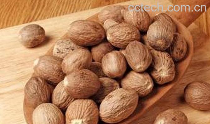 果蔬百科肉豆蔻图片 肉豆蔻的功效与作用-0