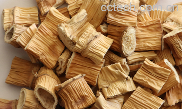 果蔬百科芦苇根的功效与作用-0