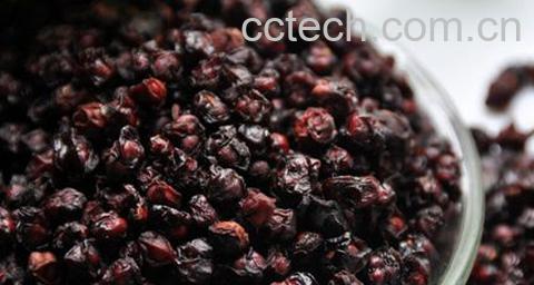 果蔬百科干姜五味子的功效与作用-0