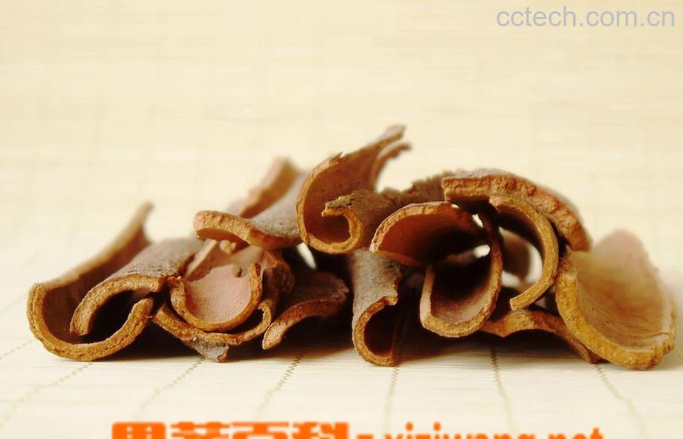 果蔬百科肉桂图片 肉桂的功效与作用-0