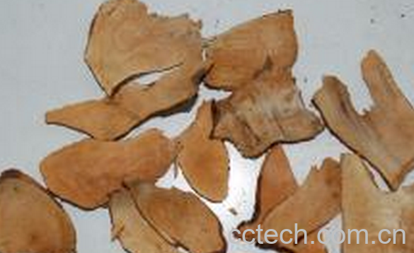 果蔬百科满山红根的功效与作用-0