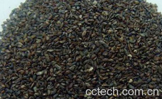 果蔬百科盐车前子的功效与作用-0