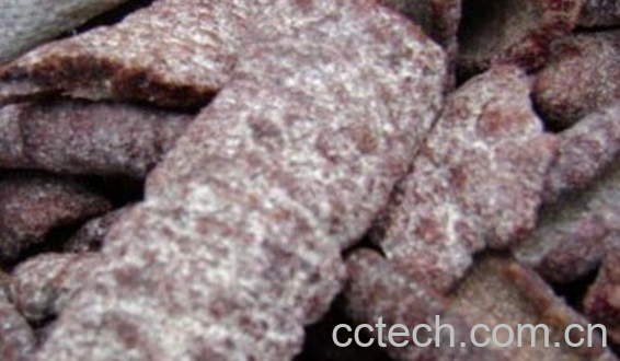 果蔬百科紫草茸的功效与作用-0