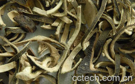 果蔬百科青皮的药用价值与功效-0