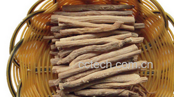 果蔬百科桑白皮的功效与禁忌-0