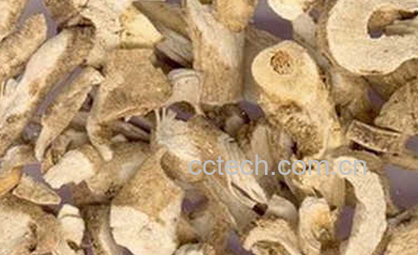 果蔬百科白鲜皮的功效与作用-0