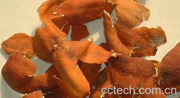 果蔬百科陈皮的药用功效与具体用法-0