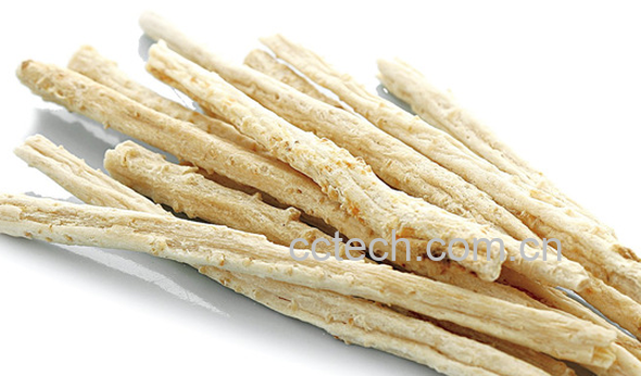 果蔬百科北沙参的功效与禁忌-0