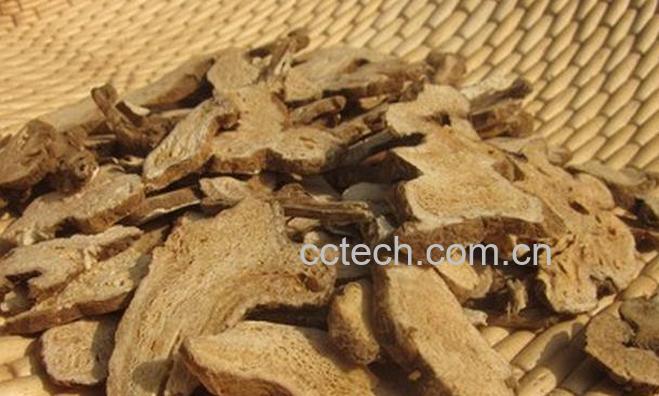 果蔬百科白术图片 白术的功效与作用-0