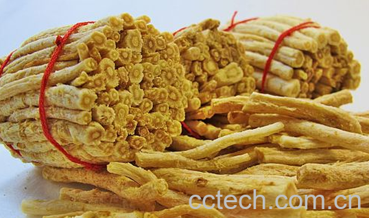 果蔬百科南沙参的功效与作用-0