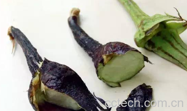 果蔬百科茄蒂的功效与作用-0