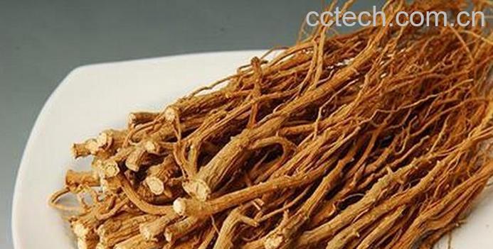 果蔬百科中药柴胡性味归经 中药柴胡功效作用及应用-0