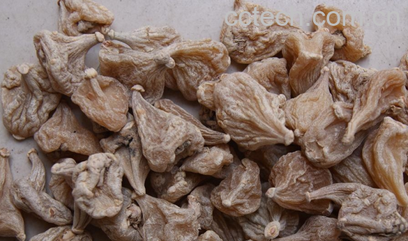 果蔬百科冰球子的功效与作用-0