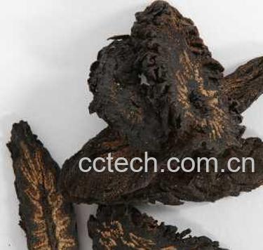 果蔬百科肉苁蓉图片_肉苁蓉的功效与作用-0