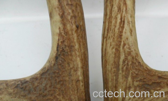 果蔬百科鹿角的治病偏方有哪些-0