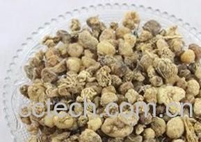 果蔬百科黄药子图片 黄药子的功效与作用-0