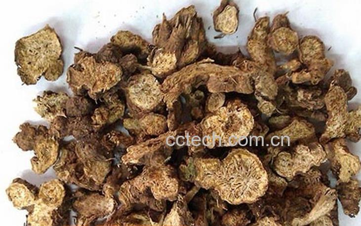 果蔬百科苍术的功效及食用方法-0