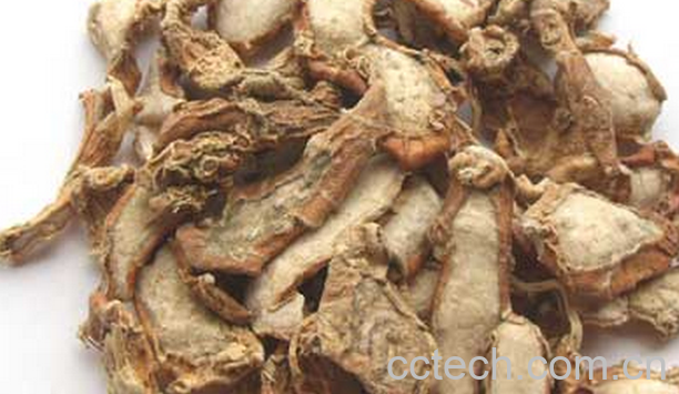 果蔬百科山奈的功效与作用-0