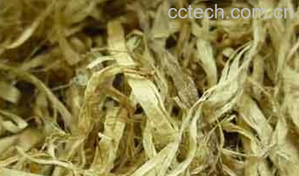 果蔬百科竹菇的功效与作用-0