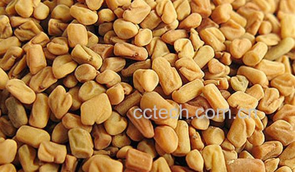 果蔬百科葫芦巴的功效与作用和食用方法-0