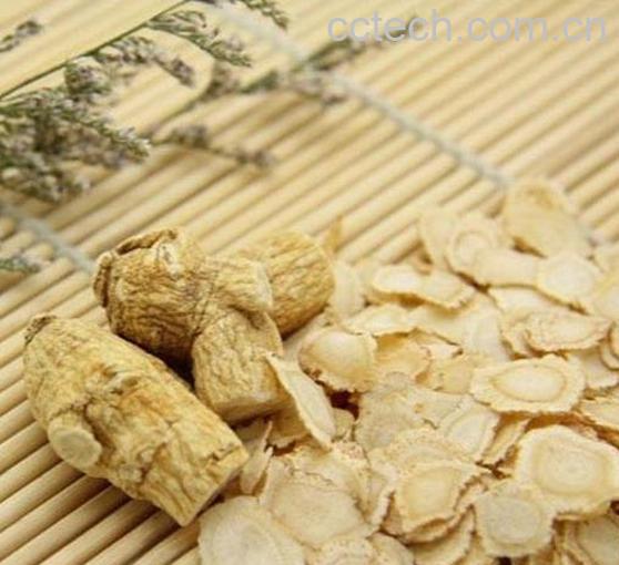 果蔬百科西洋参泡水喝的功效-0