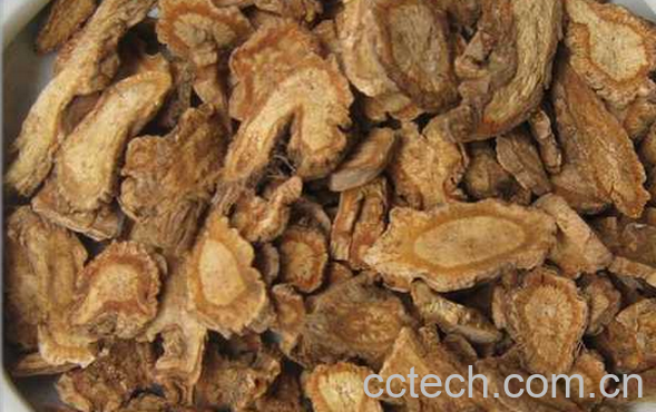 果蔬百科防风的功效与食用方法-0