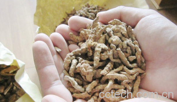 果蔬百科白僵蚕面膜的做法与功效-0