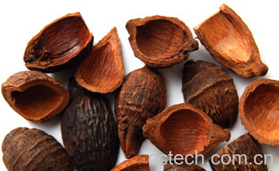 果蔬百科中药大腹皮的来源与功效-0