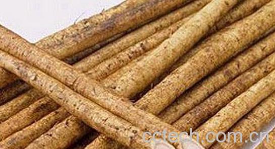 果蔬百科川牛膝的功效与作用-0