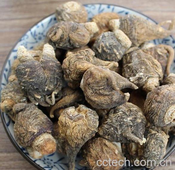 果蔬百科玛卡的功效与副作用-0