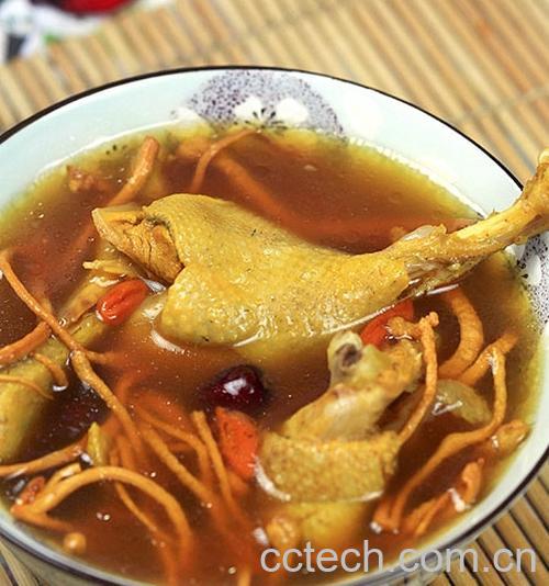 果蔬百科虫草花煲汤怎么做 虫草花煲汤的做法-0