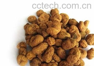 果蔬百科延胡索图片 延胡索的功效与作用-0