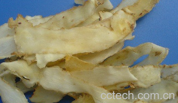 果蔬百科玉竹是什么-0