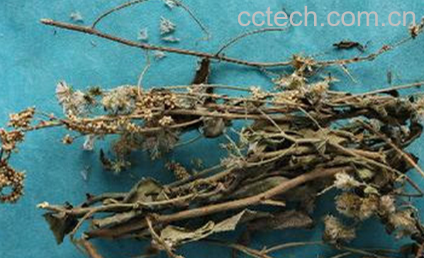 果蔬百科刘寄奴的功效与作用-0