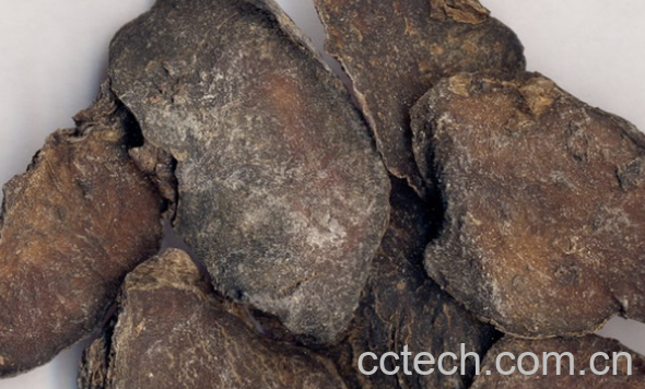 果蔬百科天南星的药用价值与功效-0