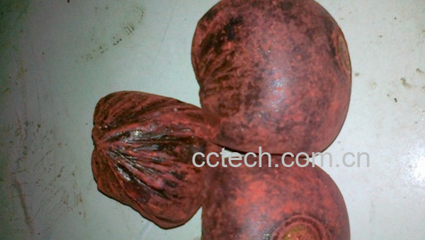 果蔬百科中药血竭的功效与作用-0