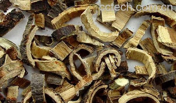 果蔬百科合欢皮的功效与作用及食用方法-0