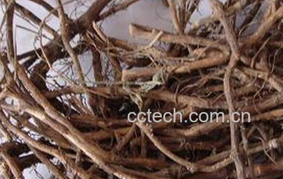 果蔬百科中药北豆根的功效与作用-0