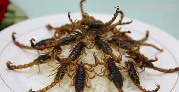 果蔬百科全虫的食疗功效-0